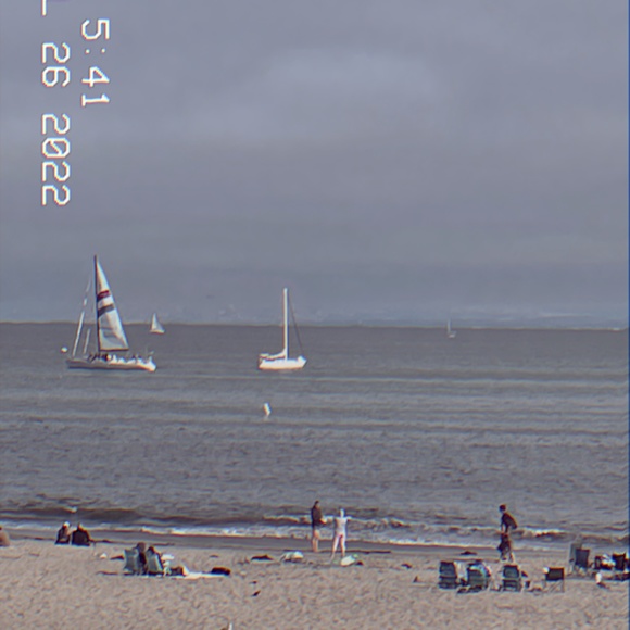 Meet your Posher, Ella - Picture 1 of 1